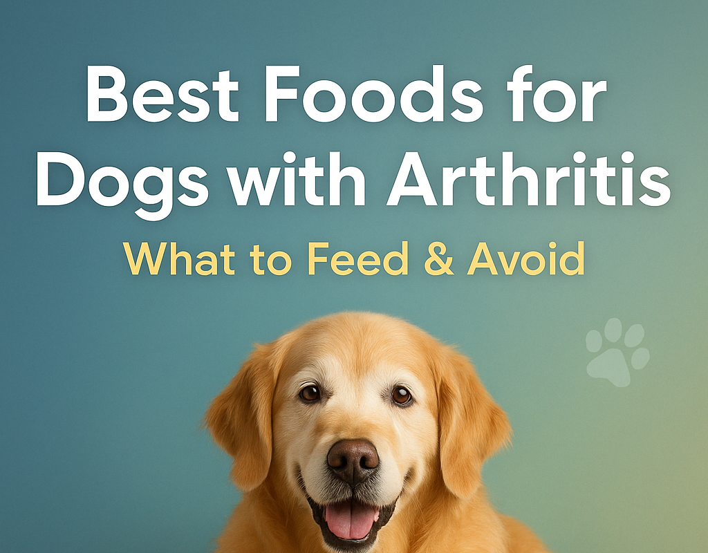 Image showcasing Managing Canine Arthritis Through Diet: What Feed and Avoid